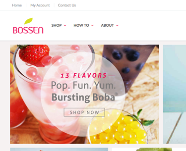 eCommerce development company Mohali India