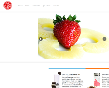 web design services company in Mohali, India