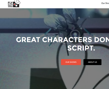 web development company in Mohali(India)