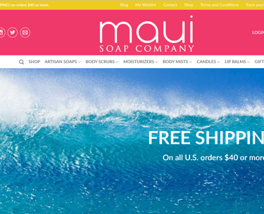 web development company in Mohali(India)